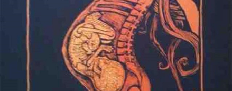 Graphic of baby in utero.